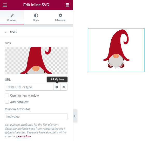 Inline SVG settings