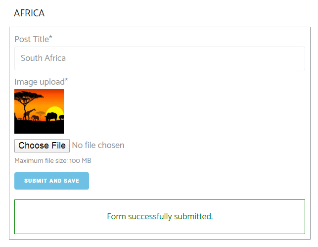 form successfully submitted