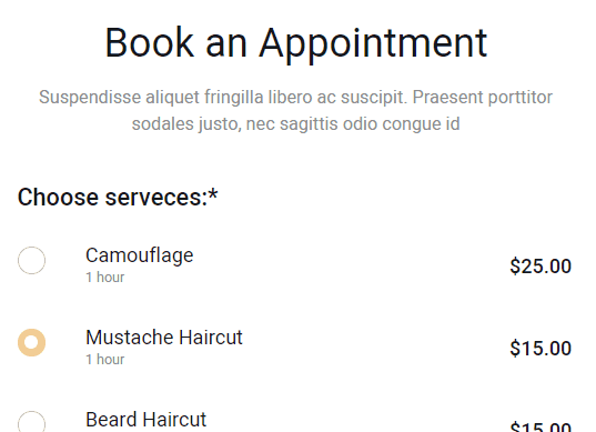 book an appointment front end1