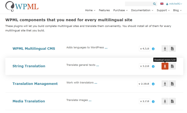 downloading WPML plugins from the Downloads tab in the user account