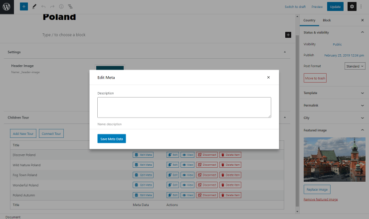 relation meta data editing