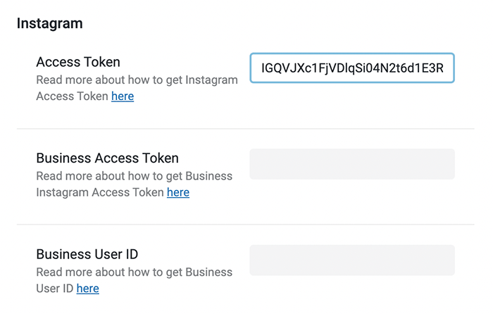 paste the access Instagram token