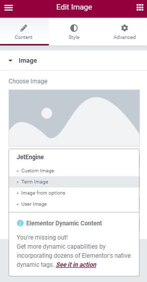 term image option in elementor dynamic tag