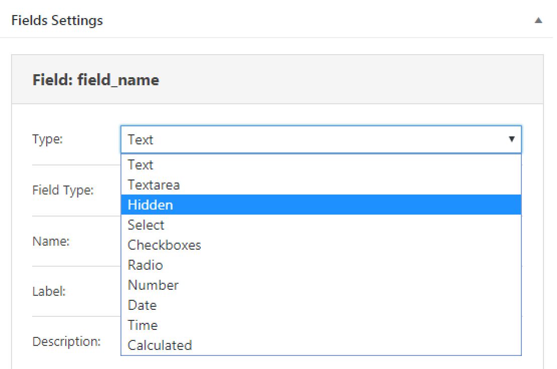 hidden field type