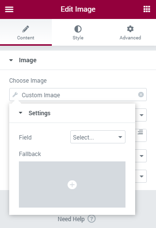 image widget dynamic tag settings