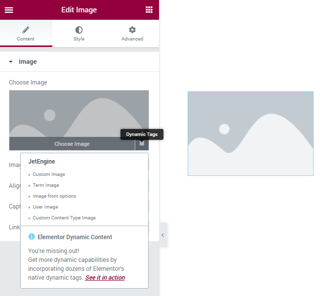 image widget dynamic tags