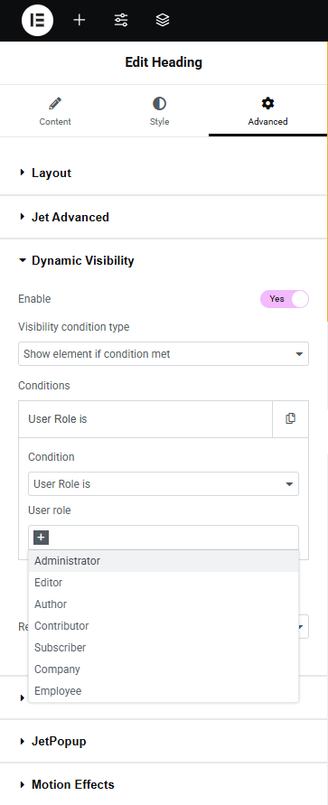 dynamic visibility user role is condition