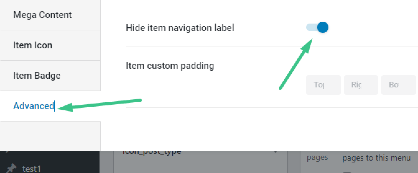 hide item navigation label in the advanced menu settings