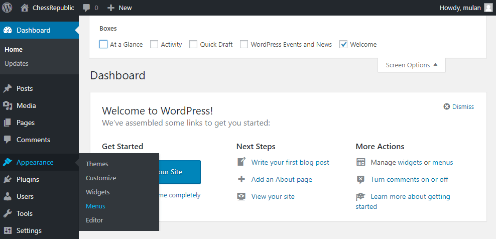 menus option in WordPress Dashboard