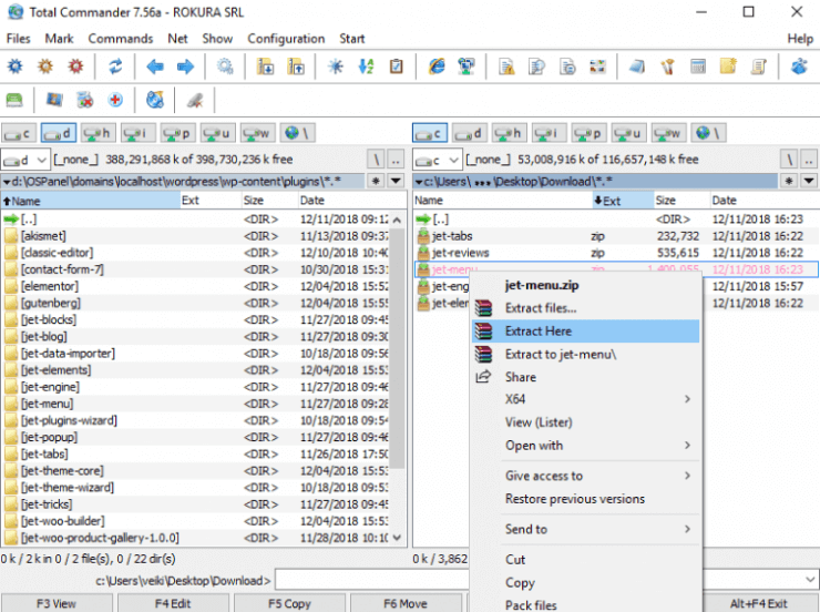 Working with Jet Plugins via FTP