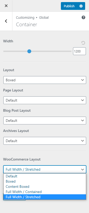 Astra theme settings