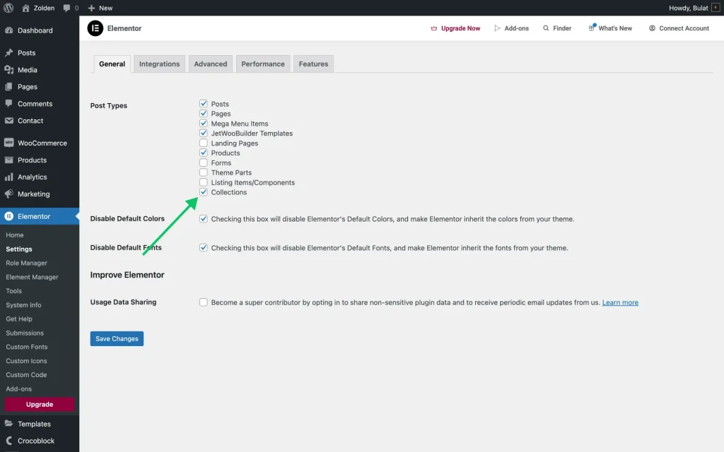 elementor builder settings page