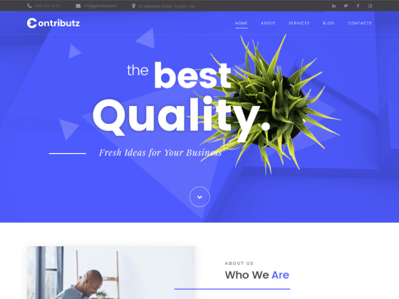 Contributz — business consulting Elementor template