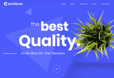 Contributz