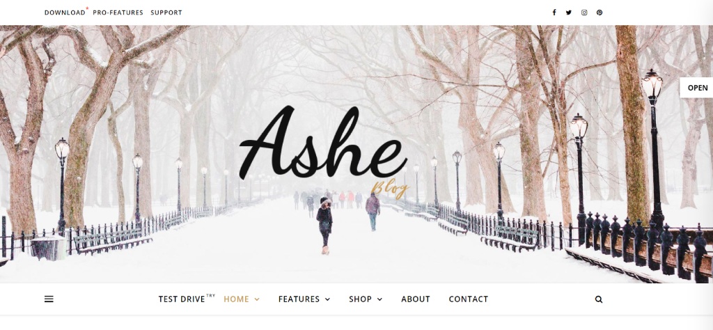 Ashe theme for WooCommerce