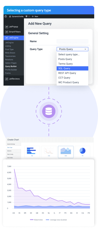 custom query creation window and chart types and data stats visualization