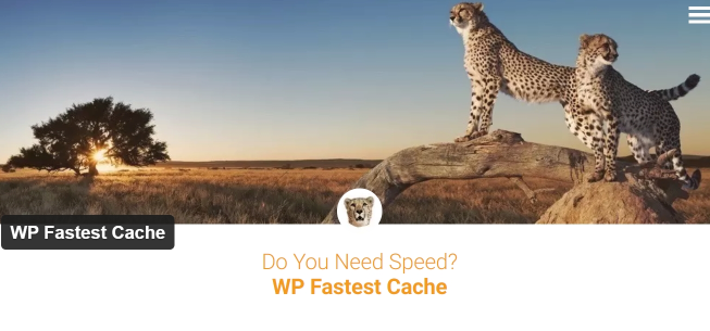 wp fastest cache plugin