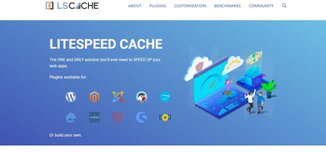 LiteSpeed caching plugin