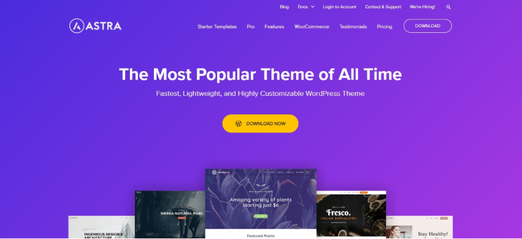 Astra WordPress theme