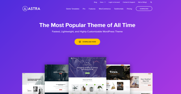 astra wordpress theme