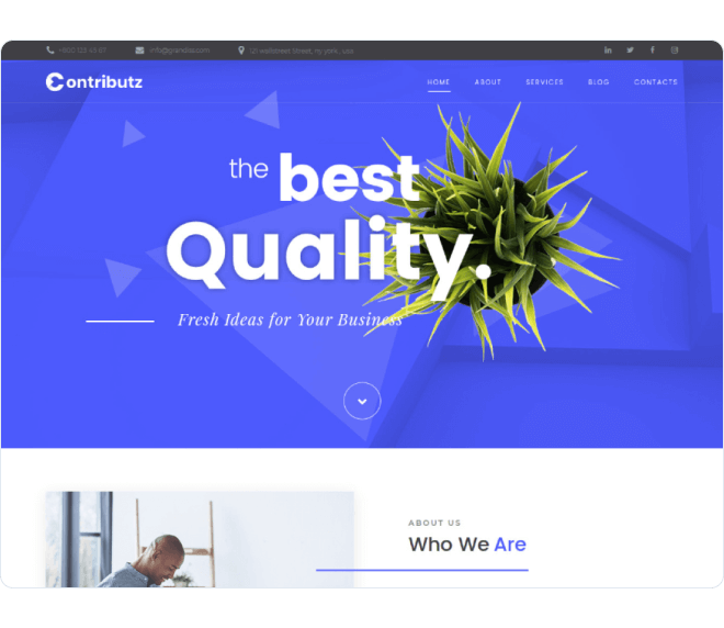 Contributz — business consulting Elementor template