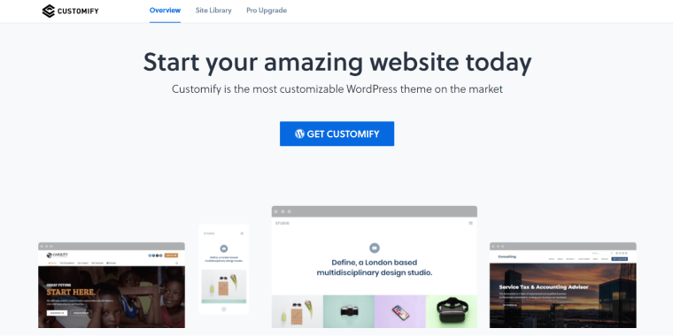 Customify WordPress theme