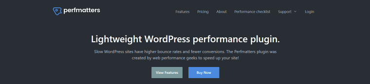 perfmatters wordpress plugin