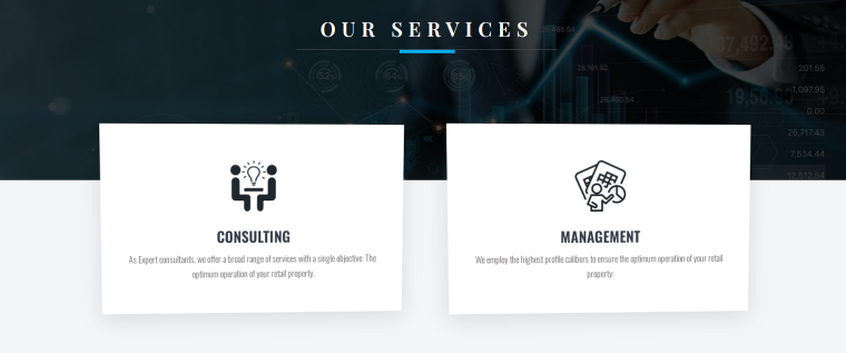 services showcase example