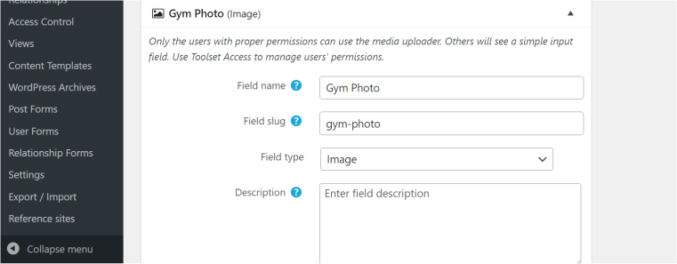 WordPress custom fields