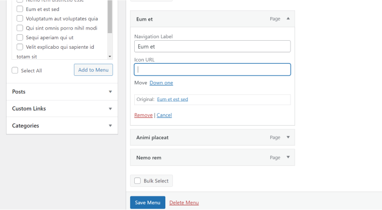 custom icon menu WordPress