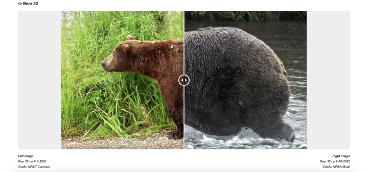 before and after slider on the nature website