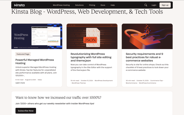 Kinsta blog website