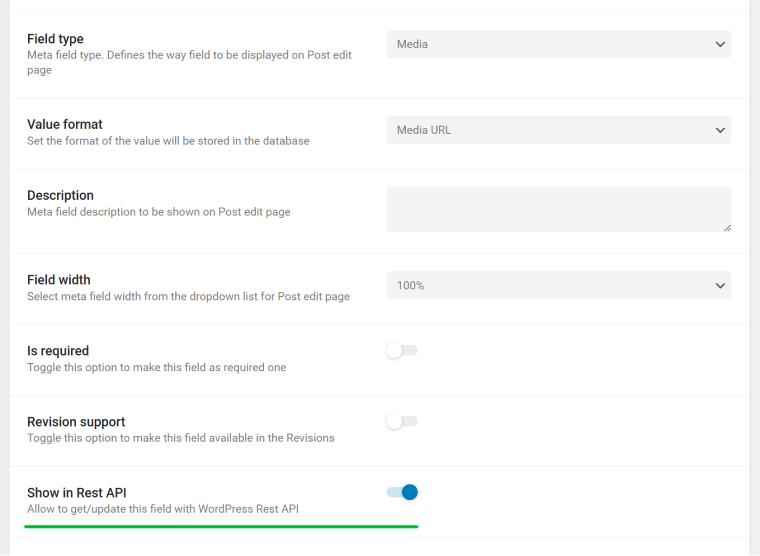 custom fields REST visibility