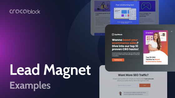 13 Real Examples of Lead Magnets for Your WordPress Website and Plugins to Create Them