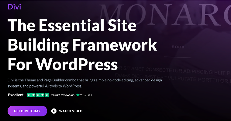 divi minimalist wordpress theme