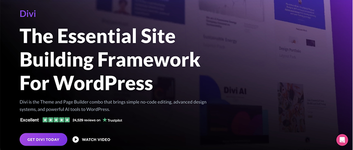 divi theme homepage