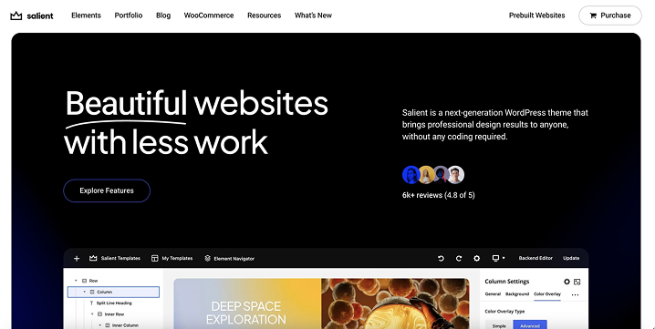 Salient theme homepage