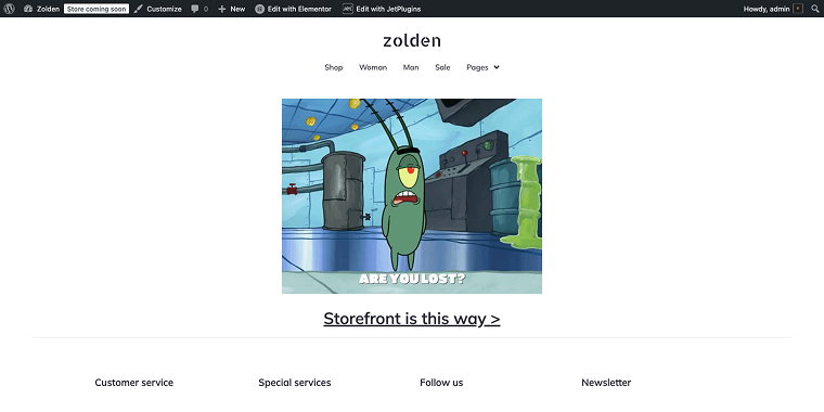 404 page preview