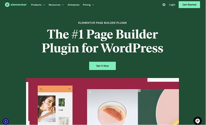 Elementor pro plugin
