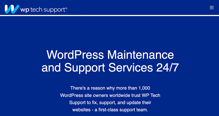 wp tech support maintenance service