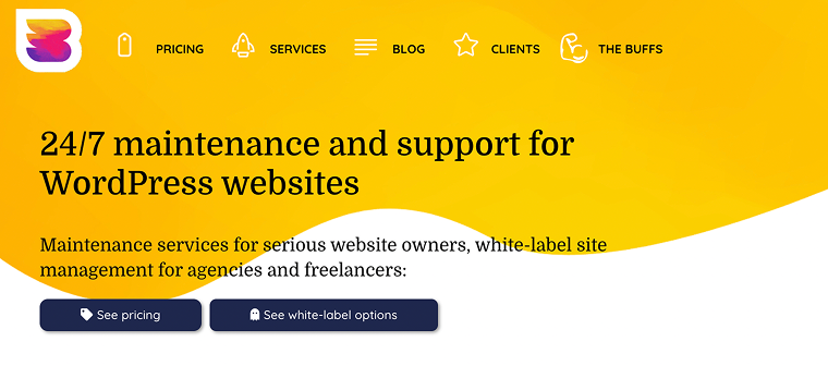 wp buffs maintenance service