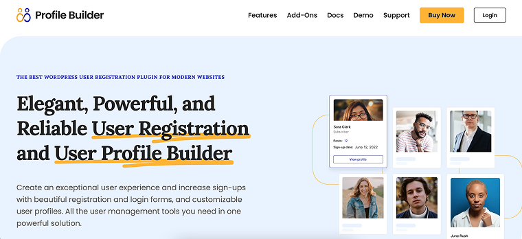 profile builder plugin