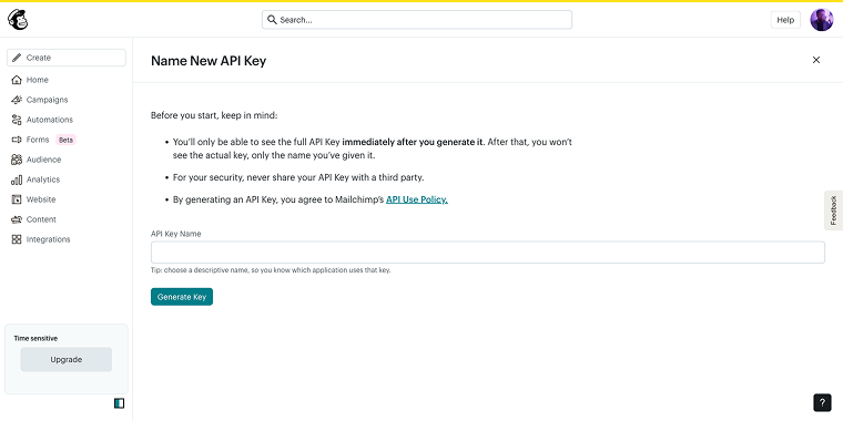 mailchimp api key section