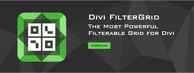  Divi FilterGrid