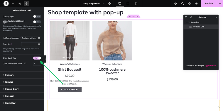 enabling the Quick View button in the Products Grid widget