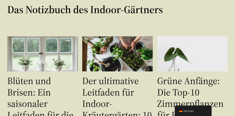 automatically translated website front end
