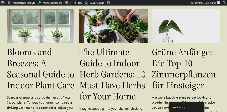 translated string on website front end