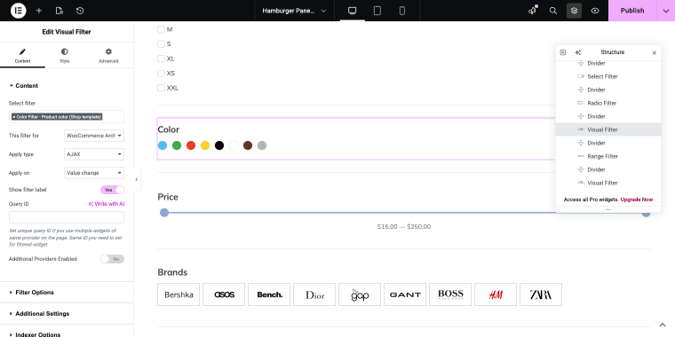 visual filter widget settings