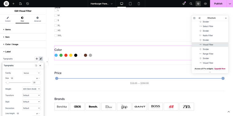 style settings of the visual filter widget