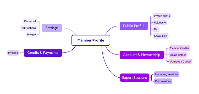 member profile schema
